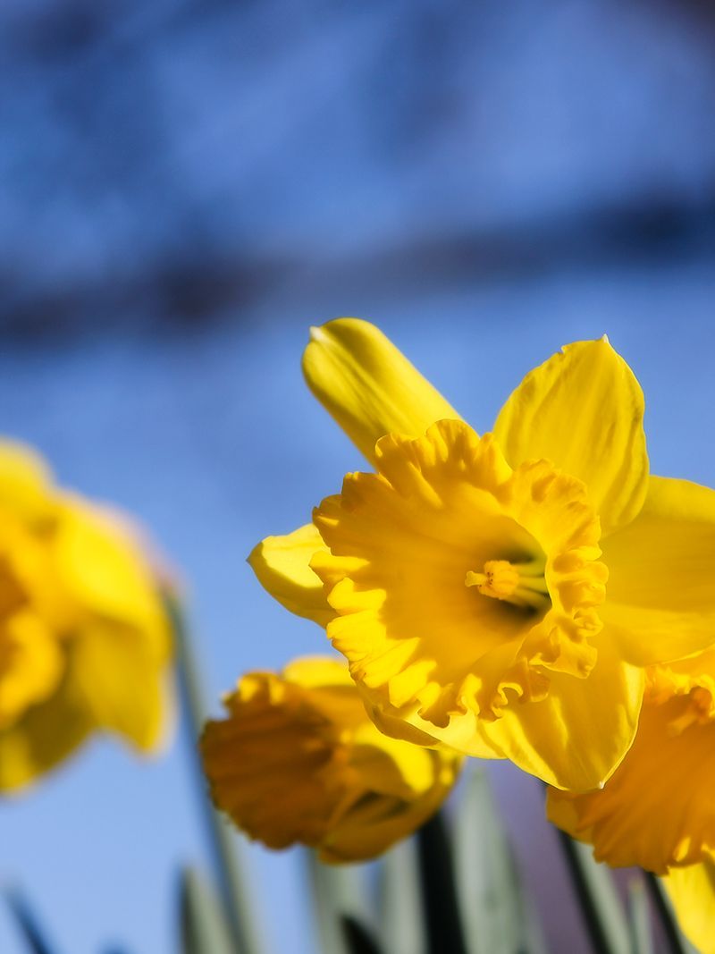 03 down low 03 down low