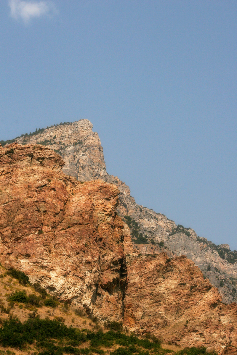 _MG_7318 edit 4x6 _MG_7318 edit 4x6