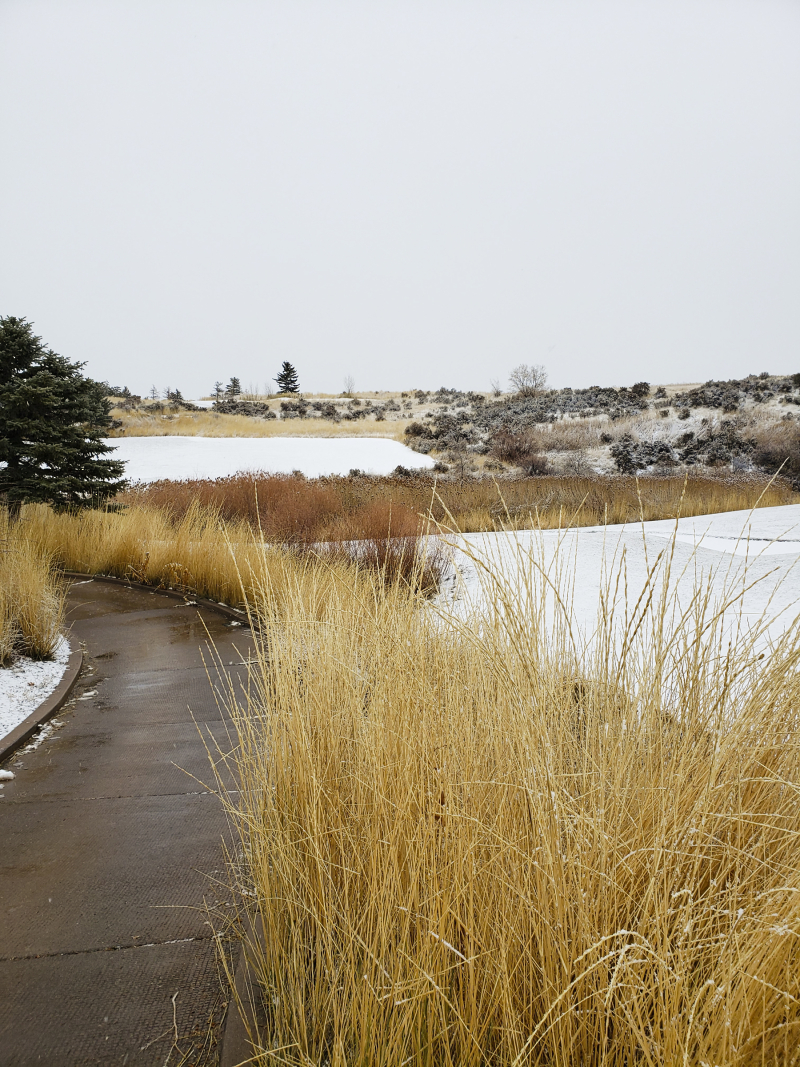 Thankful 13 scenery 6x8 Thankful 13 scenery 6x8