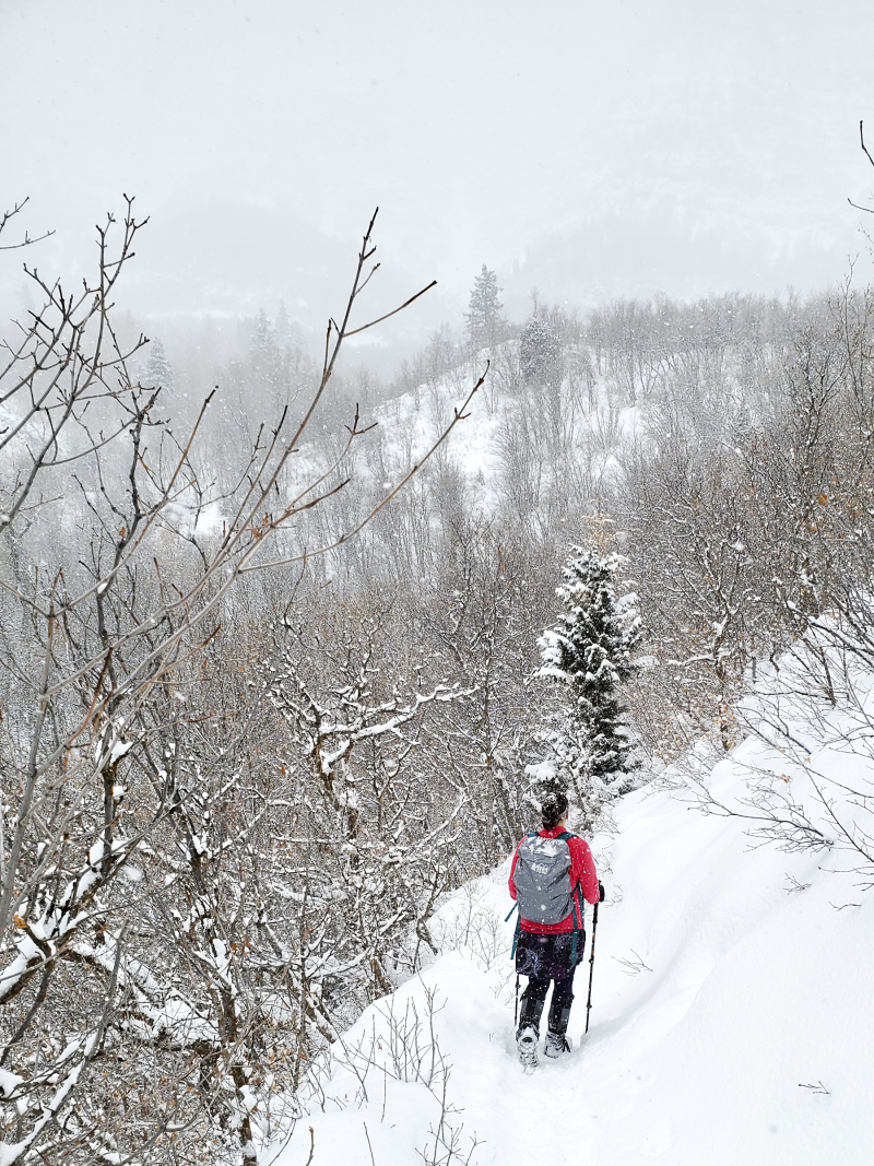 20200112_132641 rock canyon 6x8 20200112_132641 rock canyon 6x8