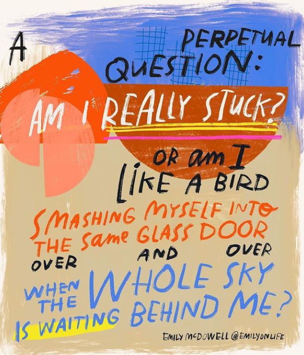 Bird against glass Bird against glass